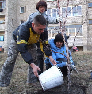 трудотерапия