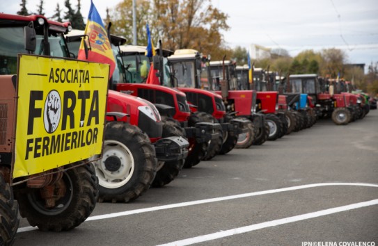 {Протест откладывается: фермеры ждут президента} Молдавские Ведомости