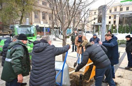 {В сквере имени Михая Эминеску в столице сажают деревья} Молдавские Ведомости