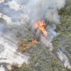 В Кагуле сгорело более восьми гектаров леса