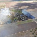 Семь лет и более 600 тысяч лей на восстановление сгоревшего леса в Кагуле