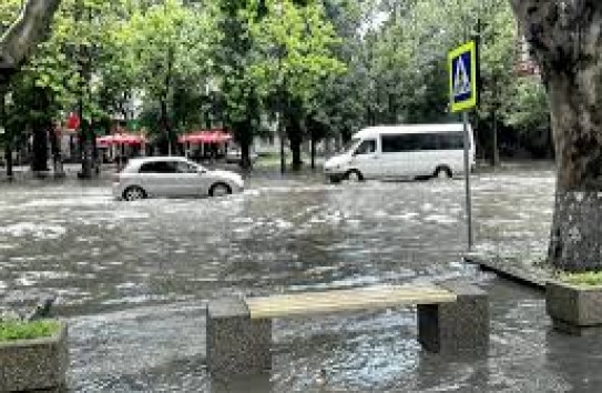 {Осталеп о коллапсе в Кишиневе} Молдавские Ведомости