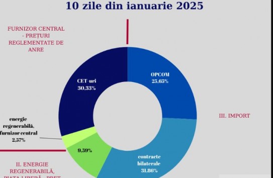 {Energocom заплатил за электроэнергию в первые 10 дней года 15 миллионов } Молдавские Ведомости