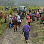 С аграрной продукцией у нас теперь та же ситуация, что и газом