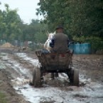 Региональные ведомости