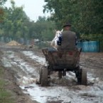 Региональные ведомости