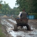 Региональные ведомости