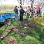 Пока политики ругаются, люди делают добро