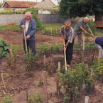 Рыцари нищеты