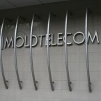 Комиссия по неподкупности проверяет доходы директора АО Moldtelecom