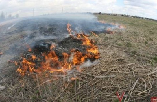 {Ученые просят не сжигать растительные остатки} Молдавские Ведомости