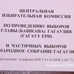 Кто самый богатый кандидат на пост башкана