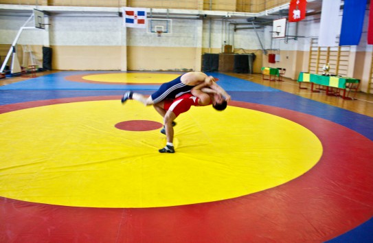 {Три медали завоевали молдавские спортсмены на чемпионате Европы по греко-римской борьбе } Молдавские Ведомости