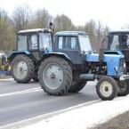 Протест аграриев похож на жалкий писк цыпленка, которого душит лиса