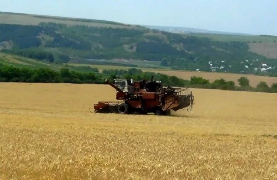 {Сельхозпроизводители нуждаются в помощи} Молдавские Ведомости