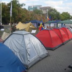 В палаточном городке снова поймали вора