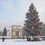 Муниципальные службы приклеили к новогодней елке ветви другого цвета