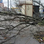 Шквалистый ветер — повалены деревья, сёла без света