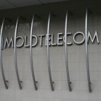 Директор «Moldtelecom» должен свободно владеть русским языком