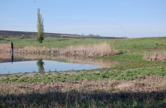 {Как жируют на воде за счет крестьян} Молдавские Ведомости