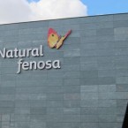 Правительство и Gas Natural Fenosa  поставили молдаван на счетчик