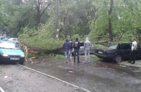 {Прокуратура начала расследование по факту гибели женщины под упавшим деревом} Молдавские Ведомости