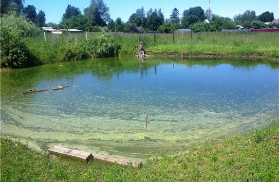 {Десять признаков водоема, в котором опасно купаться } Молдавские Ведомости