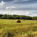 Супруги убили детей, так как у них не было денег, чтобы их вырастить