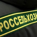 Министр сельского хозяйства объясняет выгоды наличия офиса Россельхознадзора 