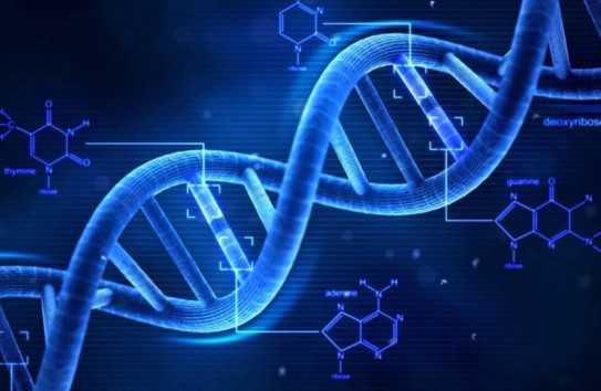 {Сила мысли меняет генетический код человека} Молдавские Ведомости