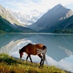 Алтайский край ждет переселенцев