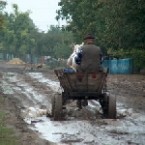 Региональные ведомости