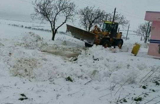 {Абрикосы, персики и орехи наиболее сильно пострадали от плохой погоды } Молдавские Ведомости