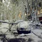 Температура воздуха повысится сегодня до +11 градусов 