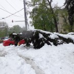 За сутки, не дождавшись скорой помощи, погибли шестеро человек