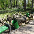 Все деньги из резервного фонда столицы будут направлены на устранение ущерба