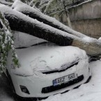 Киртоакэ не потратил ни лея из средств, пожертвованных на ликвидацию последствий снегопада 