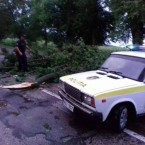 Последствия грозы: повалены деревья, обесточены села