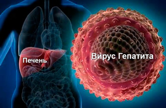 {Риск заболеть гепатитом В в течение жизни в Молдове составляет 60 процентов} Молдавские Ведомости