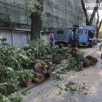 На бульваре Штефана чел Маре продолжают пилить деревья