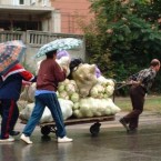 В Единцах воскресли произвол и беззаконие