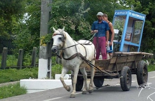 {Водителей, велосипедистов и возниц на телегах будут строго штрафовать за разговоры по телефону} Молдавские Ведомости