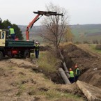 В Германии озабочены проблемами молдаван 