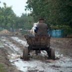 Региональные ведомости