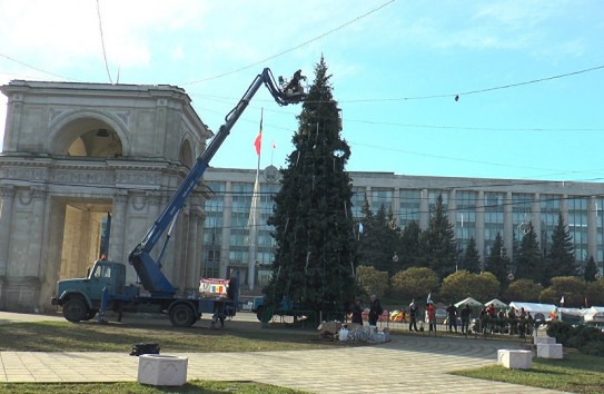 {Елка: впервые примэрия посоветовалась с жителями города и впервые согласилась с их мнением} Молдавские Ведомости