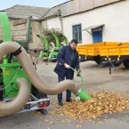 Заваленную листвой столицу обещали пропылесосить