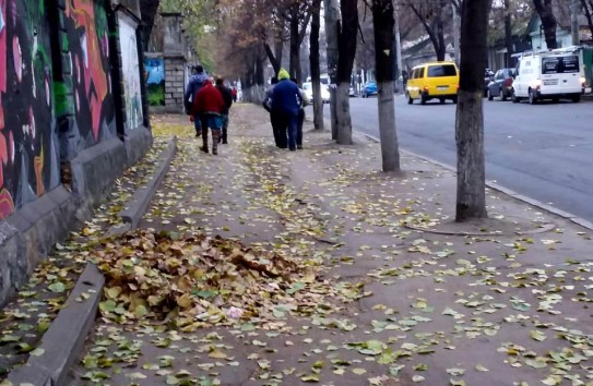 {Купили пылесосов на четыре миллиона, но листву никто не собирает  } Молдавские Ведомости