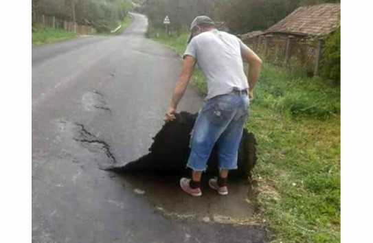 {С чем демократы идут на выборы} Молдавские Ведомости