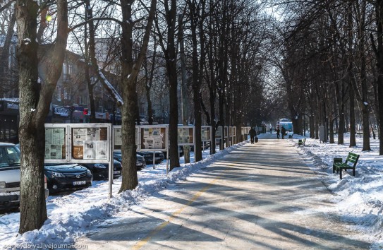 {В новогоднюю ночь осадков не предвидится, но... } Молдавские Ведомости