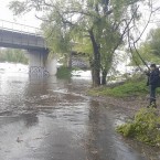 Десять миллионов евро на очистку реки Бык от Бухареста